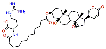 3-(N-Dodecadienoyl argininyl)-marinobufagin
